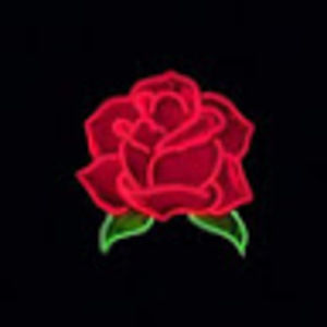 Meet your Posher, Daniella